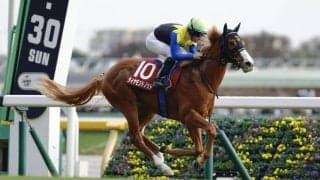 【ファルコンS登録馬】ダイヤモンドノットなど20頭