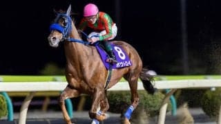 【水沢・駒形賞】8歳ボウトロイが圧巻の4馬身差V…91戦目で重賞初制覇