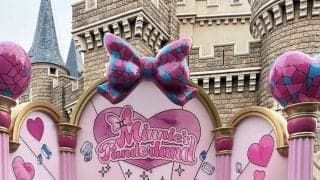 【日本ハム】思いきりミニーちゃんコーデ！　TDLに行ってきました／滝谷美夢のみゆダイアリー