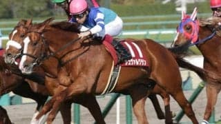 のちのGI馬シュヴァルグランの重賞初制覇から10年 16年阪神大賞典を回想