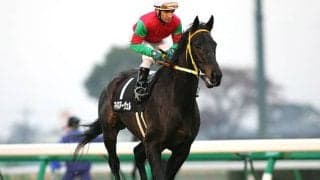 マイネルグロンなど9頭のJRA勝ち馬を輩出 マイネヌーヴェルの末脚光った03年フラワーC
