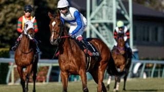 【フラワーC見どころ】レースセンスが光るアメティスタ