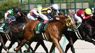 【愛知杯見どころ】実績ある芝で巻き返しを図るマピュース