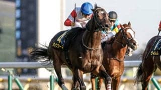 【阪神大賞典見どころ】飛ぶ鳥を落とす勢いのダノンシーマ