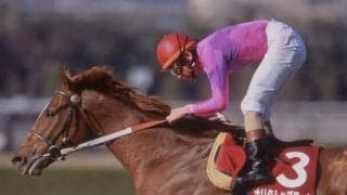 阪神大賞典勝ち時計ランキング 1位は25年前の8馬身差V