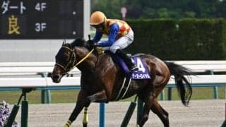 【先週のJRA抹消馬】24年の天皇賞(春)覇者テーオーロイヤル、昨年のレディスプレリュードを制したビヨンドザヴァレーなど