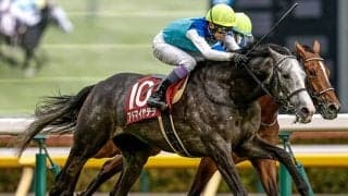 【阪神大賞典想定騎手】アドマイヤテラは武豊騎手、ダノンシーマは川田将雅騎手