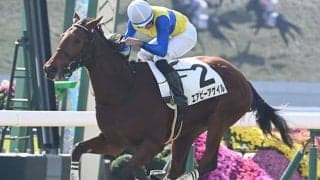 【フラワーC想定騎手】エアビーアゲイルは岩田望来騎手、ゴディアーモは津村明秀騎手