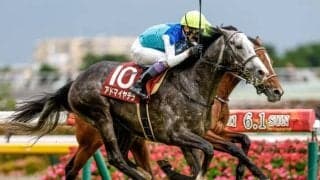 【AI予想・阪神大賞典】スタミナが問われる一戦は若さが重要!? 実績や近況の勢いも重視する人工知能の本命候補とは