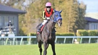 スプリングS制したアウダーシアの血統背景を紹介 「キズナ×ルーラーシップ」は高い勝ち上がり率を誇るニックス