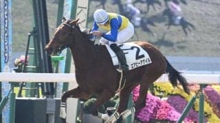 【フラワーC展望】好走データ合致のエアビーアゲイルが中心