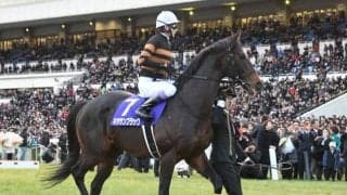 “連対率25%”の好相性馬も？ 3月・4月の中山芝で強い種牡馬とは