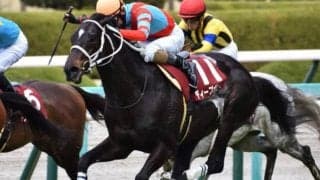 ディープボンド＆和田竜二騎手が連覇 21年22年の阪神大賞典を振り返る