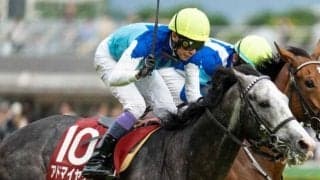 【阪神大賞典】武豊騎手が同一JRA重賞史上最多タイの9勝目なるか アドマイヤテラと再タッグだ