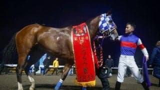 【浦和・桜花賞注目馬】ひと足早い桜の女王決定戦 南関東牝馬三冠の初戦を制すのは