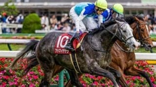 【阪神大賞典予想オッズ】アドマイヤテラが予想1番人気