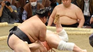 伯乃富士が今場所初の連勝、来場所の幕内残留確実に　理詰めで宇良破る　勝ち越しかけ終盤戦へ