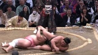 「あんなに痛がるなんて」伯乃富士、宇良を撃破も“見たことない”形相 「ただモノじゃない」識者は驚嘆