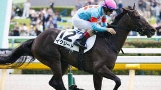 【フラワーC予想オッズ】イクシードが予想1番人気