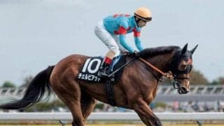 【愛知杯予想オッズ】チェルビアットが予想1番人気