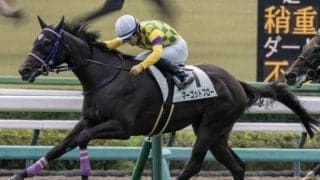 【ファルコンS展望】好走データが後押しするマーゴットブローに注目