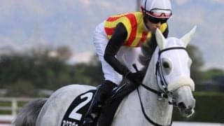 阪神大賞典史上初の牝馬Vなるか アクアヴァーナルが参戦