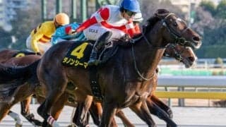 【阪神大賞典】セレクト3.1億円のダノンシーマ 史上最高価格のJRA重賞勝ち馬となるか