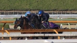 クロワデュノール、大阪杯2週前追い切り速報/栗東トレセンニュース