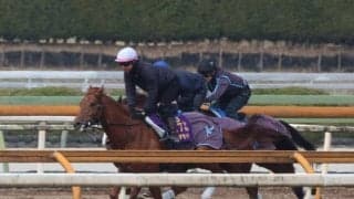 ダノンデサイル、大阪杯2週前追い切り速報/栗東トレセンニュース