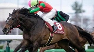【阪神大賞典】丹内祐次騎手が関西主場での重賞初制覇へ マイネルエンペラーとコンビ復活だ