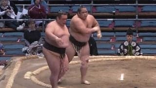 「半分喧嘩じゃん」三段目力士、“気迫十分”で幕下全勝力士を圧倒！ 館内大盛り上がり