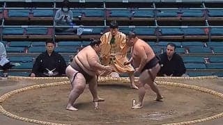 「ここまで動ける191キロは見たことない」軽やかな超巨漢力士に「ギャップがすごい」驚きの声