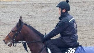 【注目馬動向】ラヴェニューは骨挫傷で春全休が決定　友道調教師「復帰は秋になるんじゃないかと思っています」