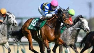 【愛知杯展望】昨年の覇者ワイドラトゥールが中心