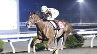 【高知・八畳岩特別】破竹の5連勝！スカンジナビアが格の違い見せV