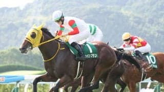 ロンドンプランが登録抹消、競走中のアクシデントで死亡