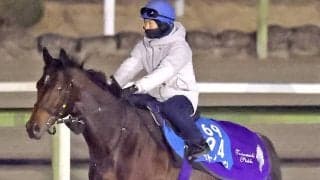 【注目馬動向】カタール遠征帰りのサトノグランツは目黒記念での復帰を視野　フレミングフープは府中牝馬Ｓを視野