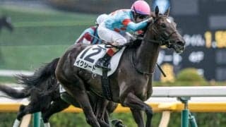 【フラワーC出走馬・騎手確定】イクシード＆C.ルメール騎手、アメティスタ＆西村淳也騎手など16頭