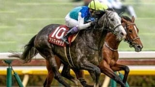 【阪神大賞典出走馬・騎手確定】アドマイヤテラ＆武豊騎手、ダノンシーマ＆川田将雅騎手など10頭