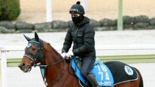 【注目馬動向】ミッキーヌチバナは大野拓弥騎手、ハナウマビーチは石川裕紀人騎手との初コンビでマーチＳへ
