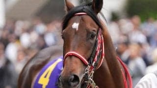 【スピカS】セレクト3.2億円のジュタ 11カ月ぶりの復帰戦だ