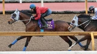 【大阪杯・２週前】メイショウタバルがＣＷコースで上々の動き　石橋調教師「有馬記念の時よりスムーズ」