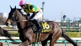 【注目馬動向】アネモネＳ２着のルールザウェイヴは引き続き原優介騎手で桜花賞へ