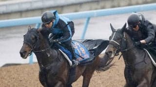 【日経賞・１週前】有馬記念２着のコスモキュランダは一杯に追われて好タイム　今年初戦へ加藤士調教師「悪くない」