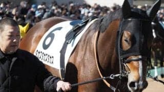 馬主は高須クリニックの高須克彌氏 タカスタカスタカスが2勝目なるか