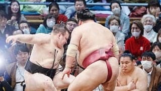 大関・安青錦　綱とり一転、勝ち越しピンチ７敗目「気持ちが切れているのかも」と舞の海氏