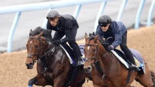 【高松宮記念１週前】昨年覇者のサトノレーヴは馬なりでスムーズな伸び脚　堀調教師「ほぼ仕上がった」