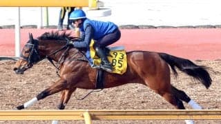 【愛知杯・データ埋蔵金】連覇を狙うワイドラトゥールが面白い　中京の１４００メートルで藤原厩舎は抜群の信頼度