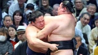 朝白龍が８勝目　高砂部屋の幕内トリオで同日に勝ち越し「みんなで頑張ってるので」