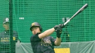 【阪神】ライバル多い左翼…中川勇斗「シーズンが大事」OP戦首位打者射程も冷静「思い切り」